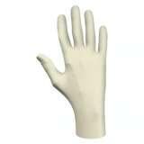 Powder Free Latex Glove Large, 100/Box, 10 Box/Case redirect to product page